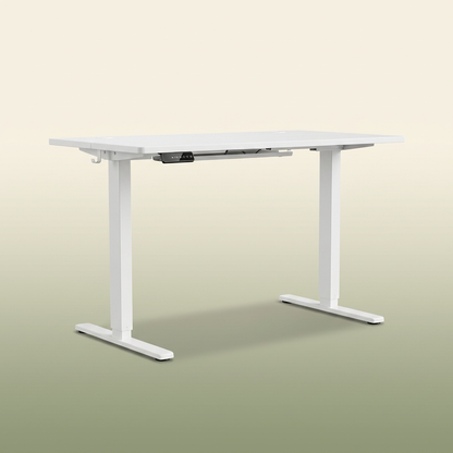 VOZA ErgoRise Electric Standing Desk — VOZA