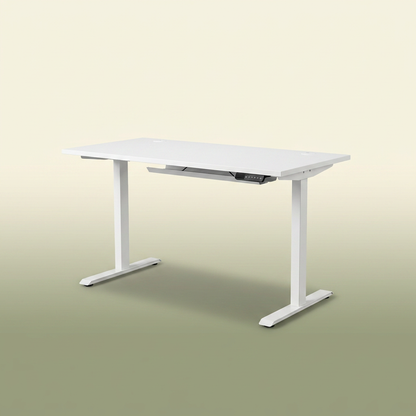 VOZA ErgoRise Electric Standing Desk — VOZA