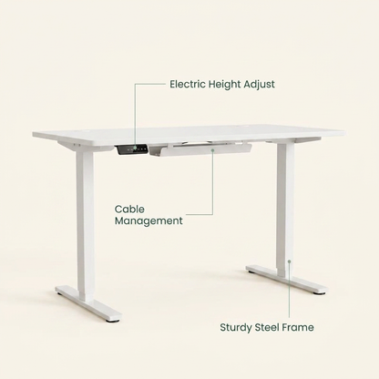 VOZA ErgoRise Electric Standing Desk — VOZA